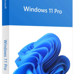 Windows 11 Professional (Digital Download)